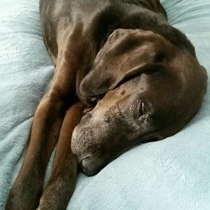 Meet your Posher, Hillary